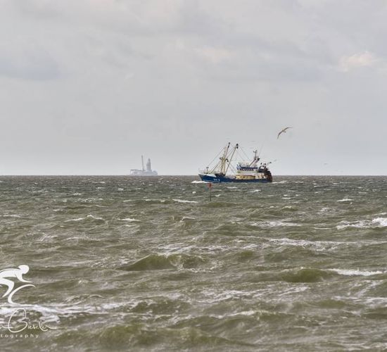 7   Impressionen  Wind Und Meer